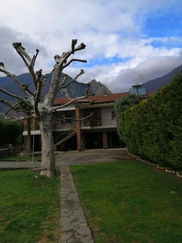 Guesthouse Athanasiou Loutraki  Bagian luar foto